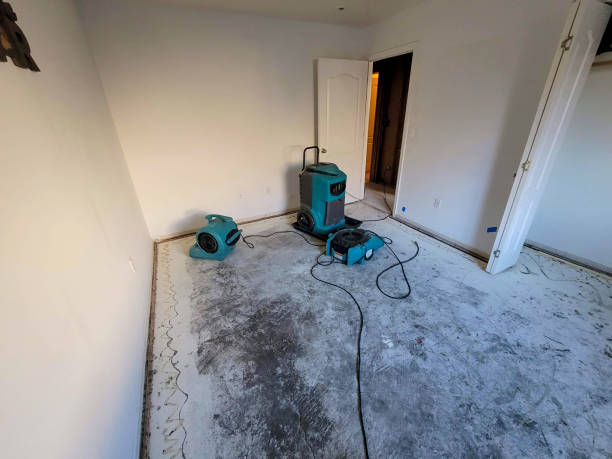 Best Residential water damage restoration  in Halawa, HI