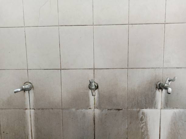 Best Water damage restoration near me  in Halawa, HI