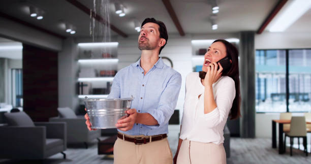 Water damage restoration experts in HI